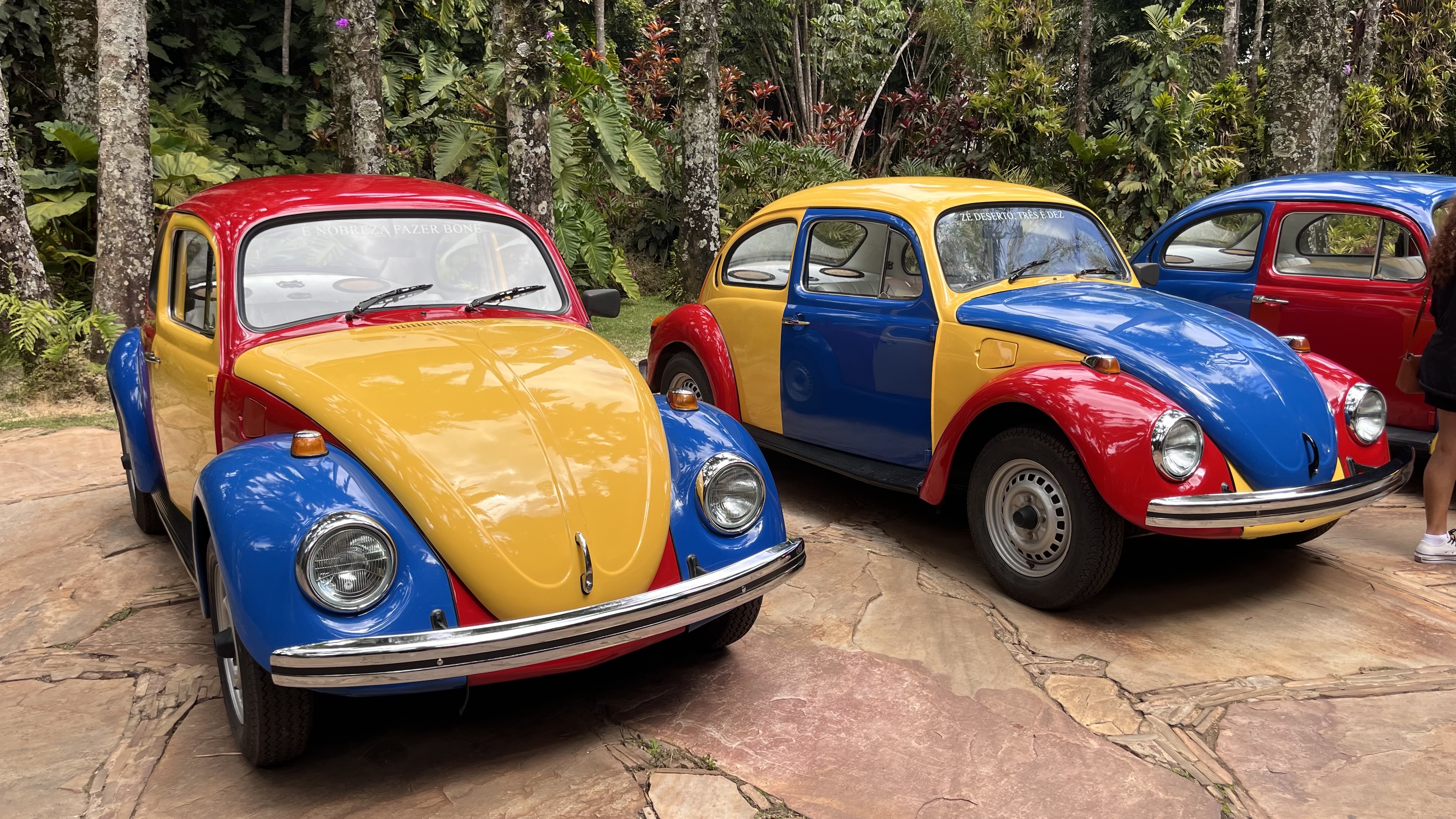 Trabalho de campo Inhotim